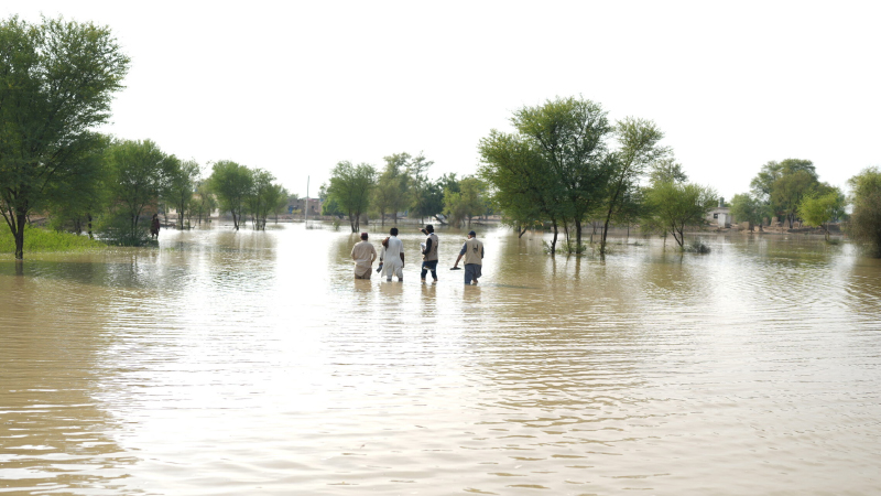 disaster management project