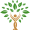 shape
